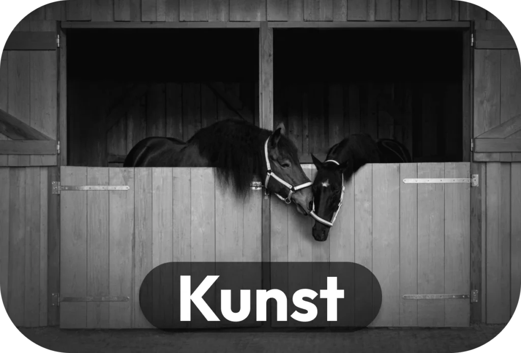 Kunst Porfolio Alexander Braun