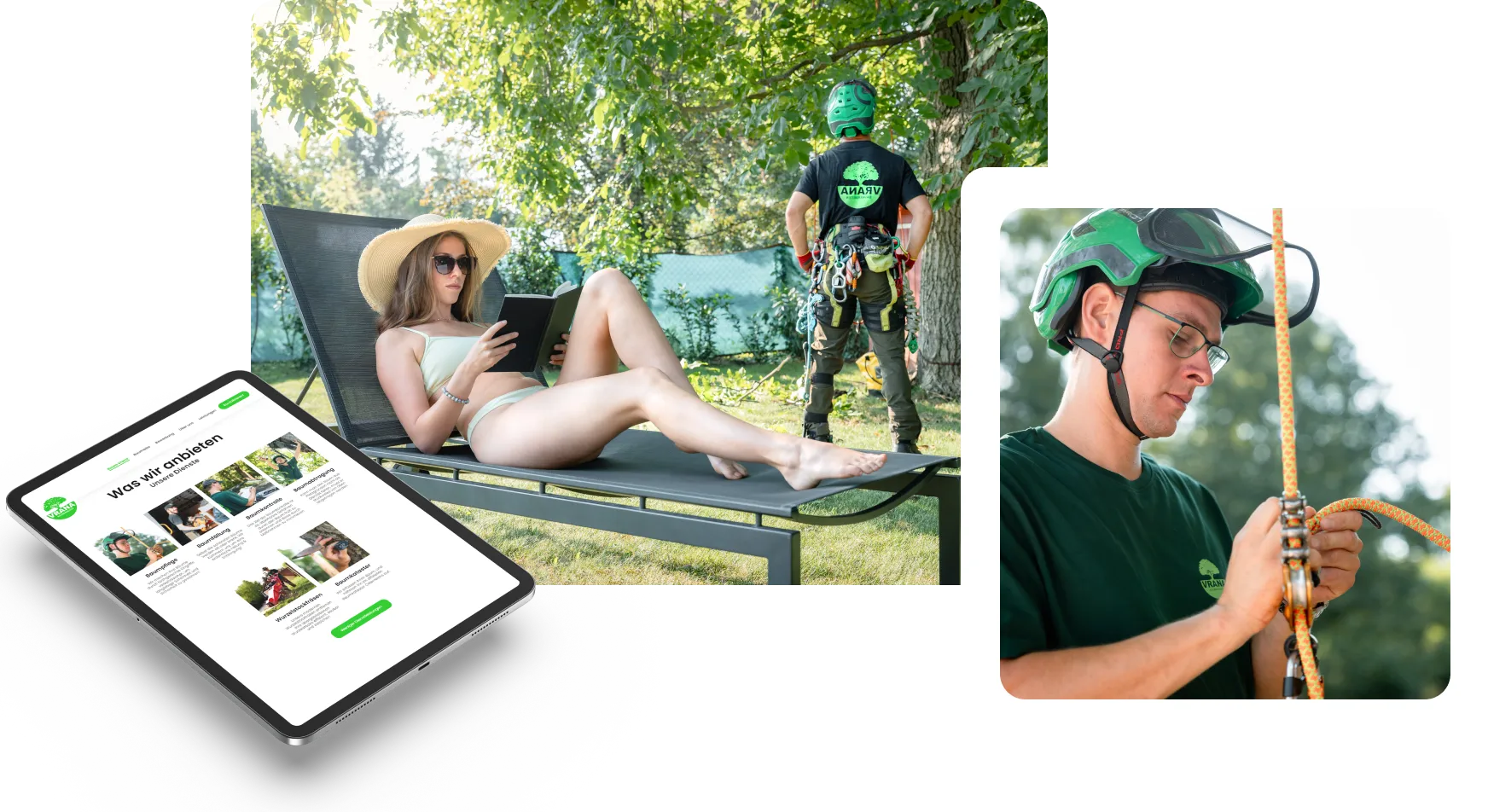 Baum VRANA 4 - Foto Braun